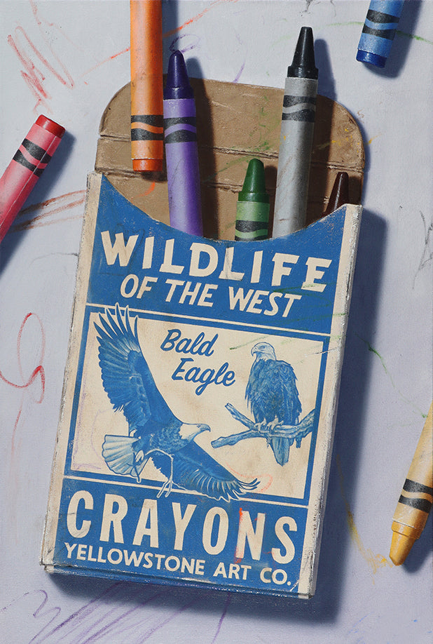 Wildlife Postcards 6 Pack