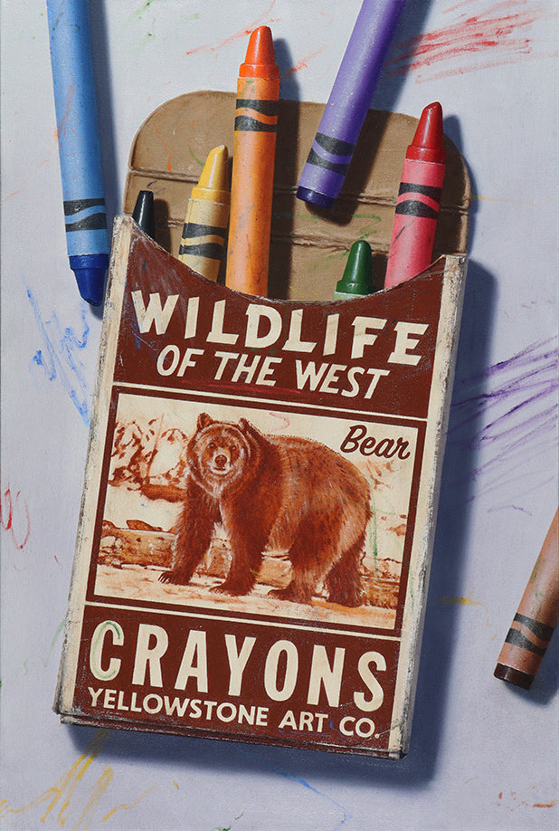 Wildlife Postcards 6 Pack