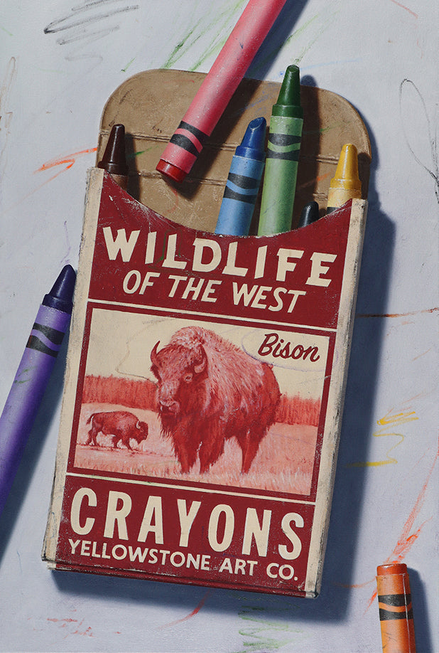 Wildlife Postcards 6 Pack