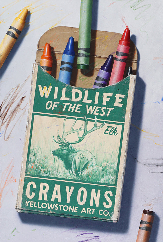 Wildlife Postcards 6 Pack