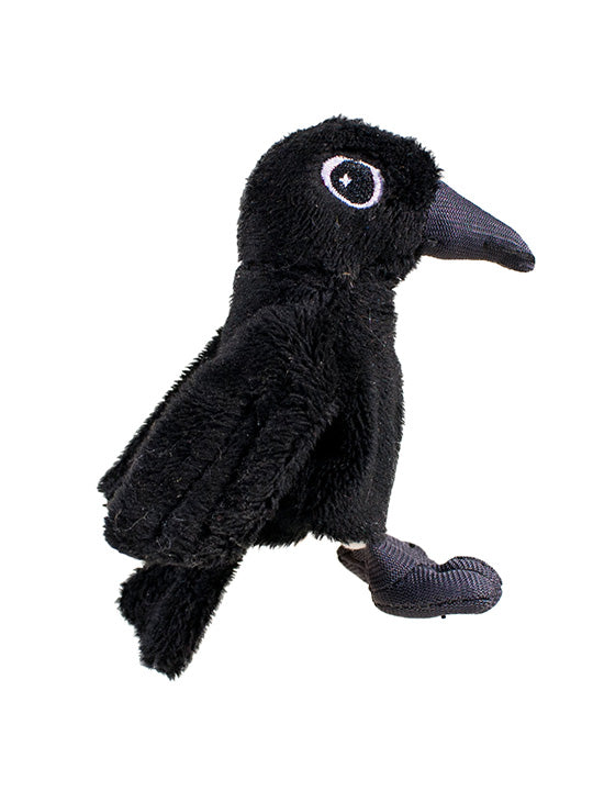 Poe's Raven Magnetic Personality