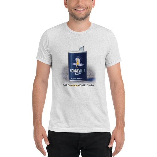 Bonneville Salt Triblend T-shirt