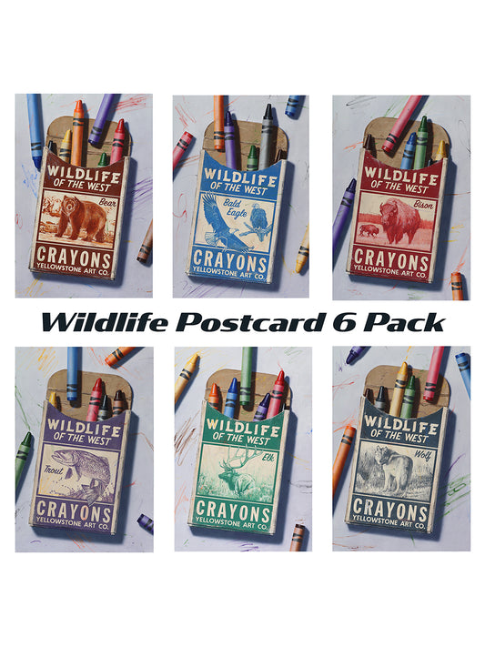 Wildlife Postcards 6 Pack